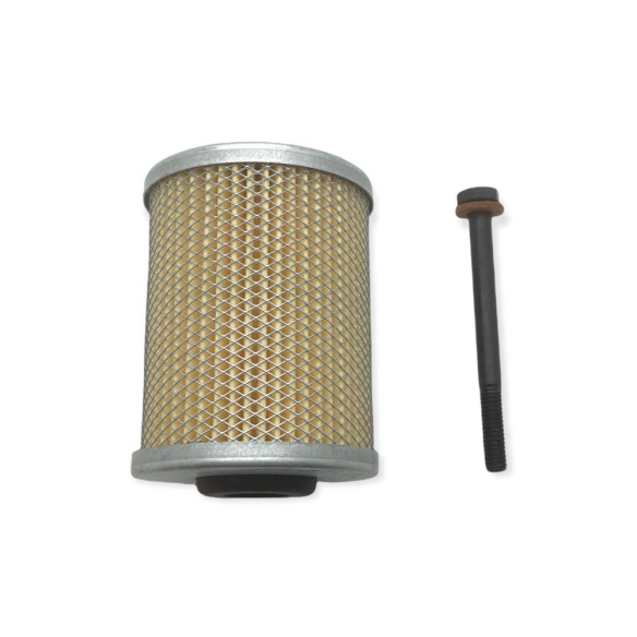 Gasoil filter kit Minsel m, Ruggerini RF and Lombardini 25LD