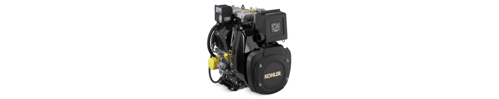 Recambios para motores Kohler KD 425/2 | Comercial Méndez