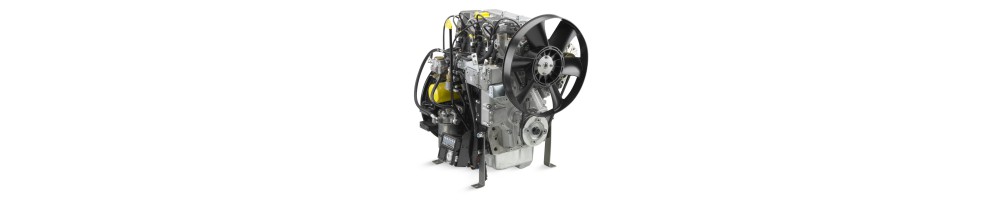 Engine spare parts Kohler KDW 1603 Commercial Méndez